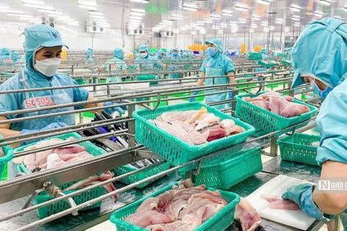 Giá vốn bào mòn lợi nhuận của IDI
