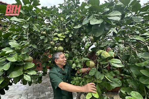 Tuổi cao, chí càng cao