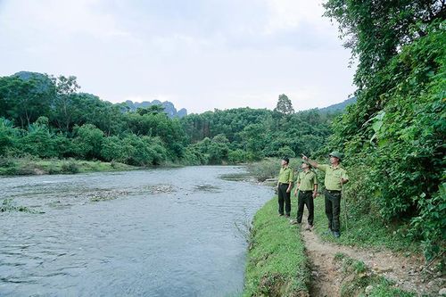 'Lực lượng tiên phong' của Đảng trong quản lý, bảo vệ và phát triển rừng (Bài 1): Những đảng viên tiên phong bảo vệ rừng