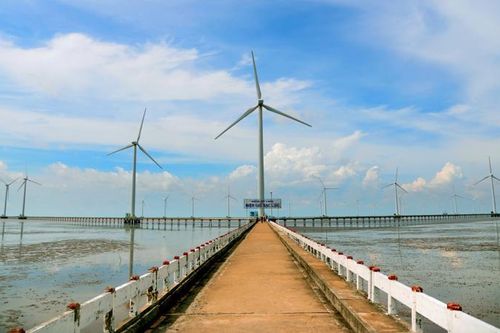 Bạc Liêu hướng đến trở thành trung tâm sản xuất và xuất khẩu năng lượng sạch