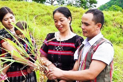Đổi thay trên đất A Xan