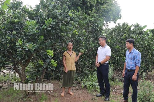 Nho Quan quyết tâm hoàn thành chỉ tiêu về giảm nghèo