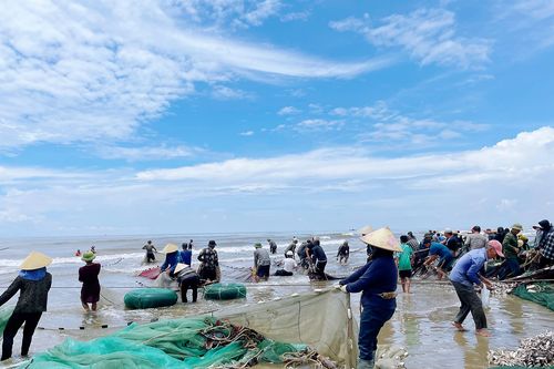 Thức dậy ở làng chài