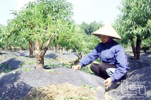 Hướng đi mới trong phát triển làng nghề