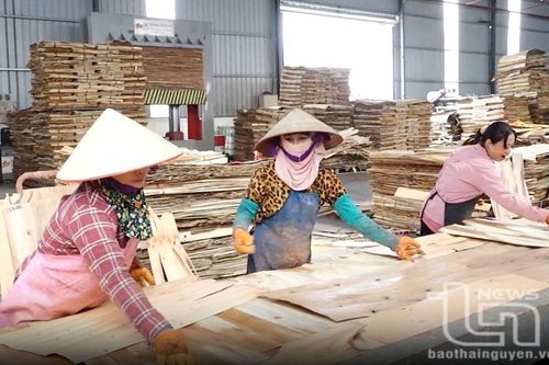 Nâng cao trách nhiệm bảo vệ môi trường