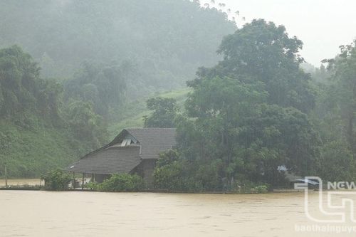 Thái Nguyên: Mưa lớn gây nhiều thiệt hại