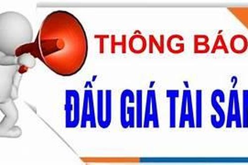 Công ty Đấu giá Hợp danh Việt Bắc thông báo đấu giá tài sản