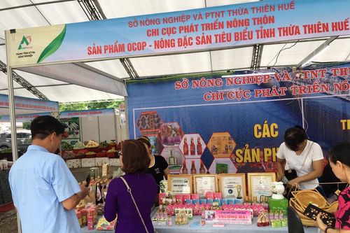 Thừa Thiên - Huế: Đẩy mạnh hoạt động xúc tiến tại Hội chợ thương mại Festival Huế 2024