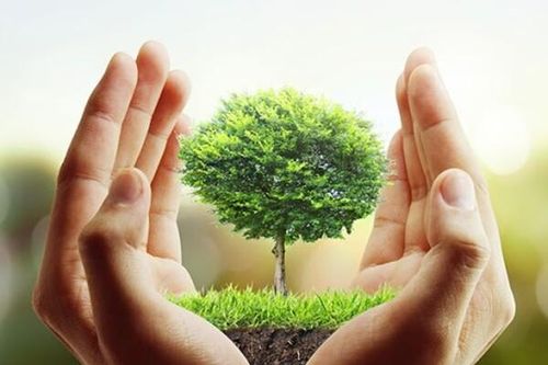 Ninh Thuận: Xây dựng mô hình khu dân cư xanh