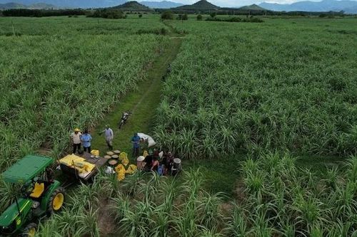NPK Phú Mỹ gắn kết 'Đất màu mỡ - Mía ngọt ngào'