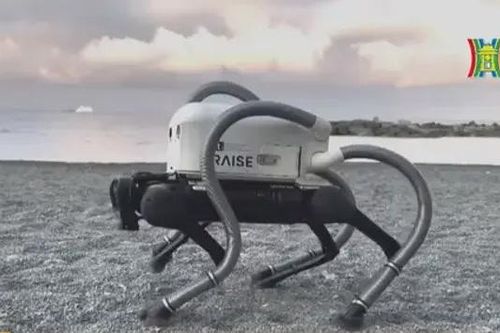 Robot chó nhặt rác trên bãi biển
