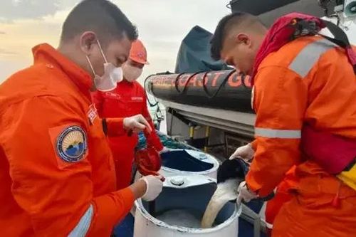 Phillipines đã giảm tối đa dầu rò rỉ sau vụ chìm tàu