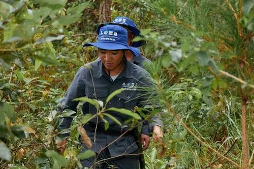 Hoàn thiện các vấn đề kỹ thuật để đáp ứng EUDR