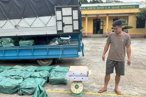 Xử phạt hành chính 1 đối tượng vận chuyển 800 kg chân gà không rõ nguồn gốc