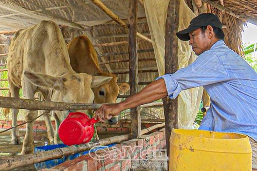 Hòa Thành tiến tới xóa trắng hộ nghèo