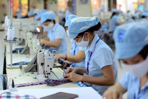 95,8% hộ gia đình có thu nhập tháng 7 không thay đổi hoặc tăng lên