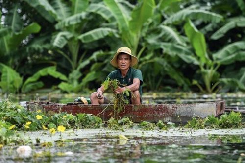 Hà Nội: Huyện Chương Mỹ bị cô lập trong biển nước, dân xót xa thiệt hại tài sản