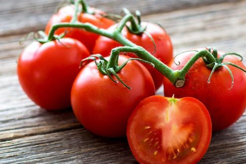 Tại sao cà chua bây giờ cứng hơn ngày xưa, không dễ dập nát và lâu hỏng?