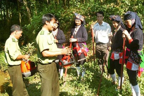 Chi cục Kiểm lâm Hà Nội:Nâng cao nghiệp vụ quản lý, bảo vệ rừng