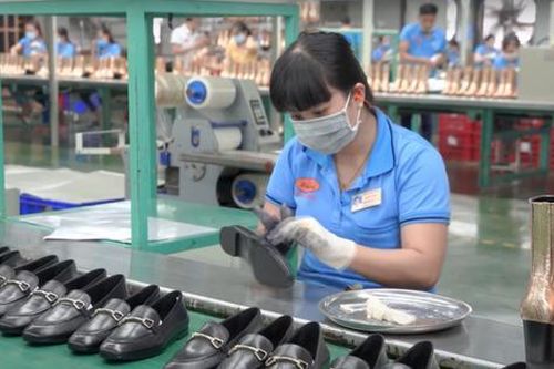 Truy xuất nguồn gốc sản phẩm nhập khẩu là xu hướng bắt buộc của thị trường Hoa Kỳ
