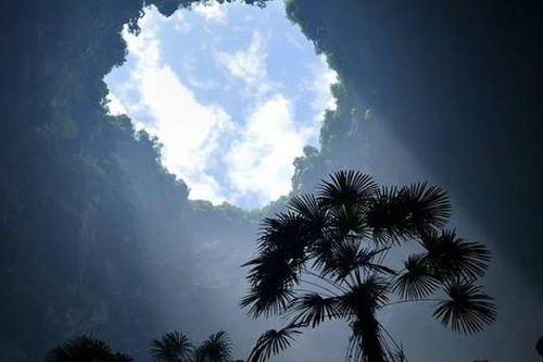 Vì sao cây cối trong các hố sụt phát triển nhanh?