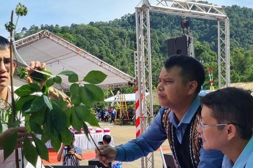 Quảng Nam: Hơn 360 triệu đồng ủng hộ xóa nhà tạm từ đấu giá sâm Ngọc Linh