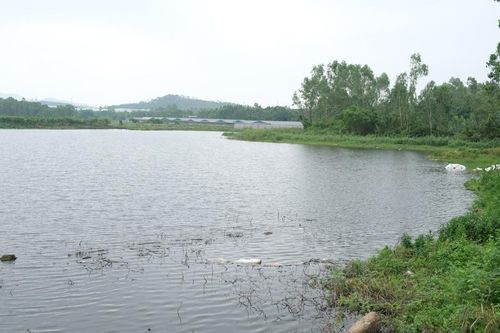 Bài 2: Chuyển nhượng 'chớp nhoáng' dự án chỉ sau 4 ngày được phê duyệt