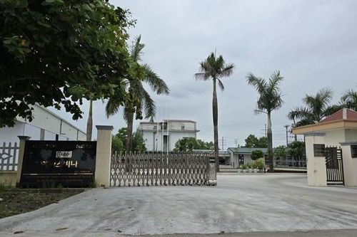 Ninh Bình: Công ty TNHH ACE Vina Trading bị xử phạt 130 triệu đồng