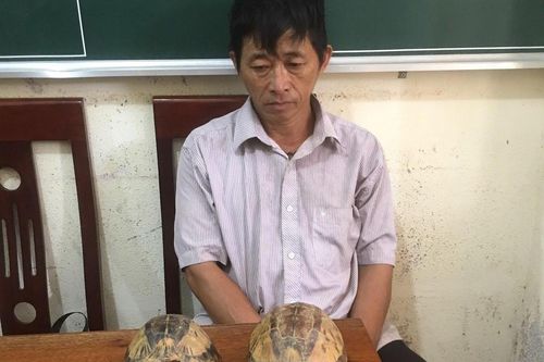 Bị bắt vì bán động vật hoang dã
