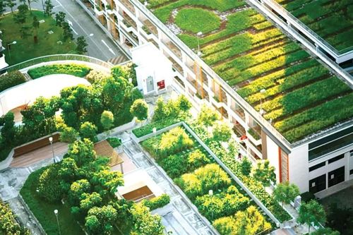 Làm mát thành phố bằng mái nhà xanh