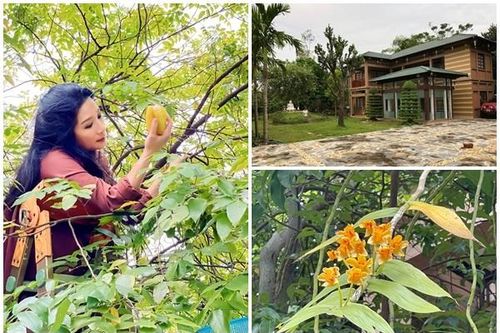 Bên trong nhà vườn 'đi mỏi chân' của nghệ sĩ Thanh Thanh Hiền
