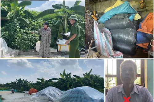 Thanh Hóa: Bắt kẻ trộm 13 bì lông vịt trị giá trên 100 triệu