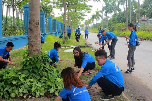 Hành trang vào đại học: Nỗ lực để tỏa sáng