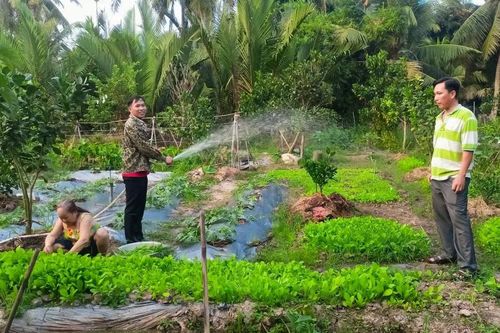 Sóc Trăng: Cựu Chiến binh huyện Long Phú đồng hành phát triển kinh tế