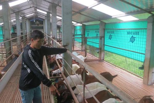 Anh nông dân ước mơ làm giàu từ mô hình trang trại tổng hợp VAC