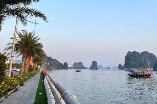 Nhiều hoạt động hấp dẫn tại Lễ hội 'Vượt sóng Hạ Long – 2024'