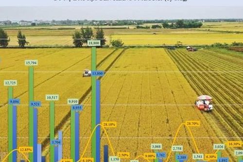 Hơn 72% doanh nghiệp ĐBSCL chịu tác động biến đổi khí hậu