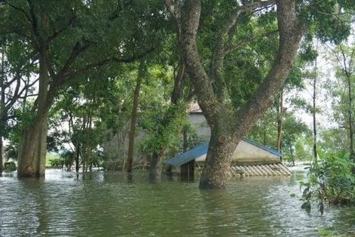 10 ngày người dân Hà Nội sống giữa biển nước