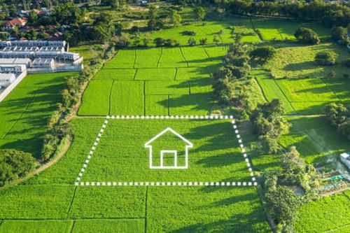 Nhà nước có trách nhiệm như thế nào trong việc cung cấp thông tin đất đai?