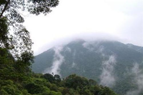 Mùa thu ở Bạch Mã