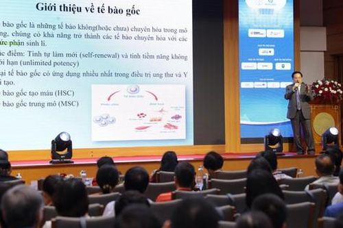 Tìm giải pháp nâng cao liệu pháp miễn dịch trong điều trị ung thư
