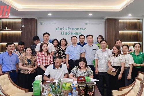 Xúc tiến, quảng bá, giới thiệu sản phẩm OCOP Thanh Hóa tại TP Hà Nội