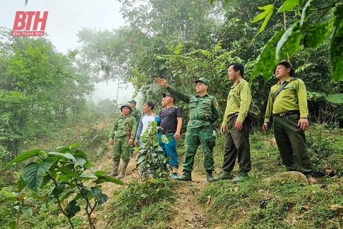 'Lực lượng tiên phong' của Đảng trong quản lý, bảo vệ và phát triển rừng (Bài 2): Phát huy vai trò của cấp ủy