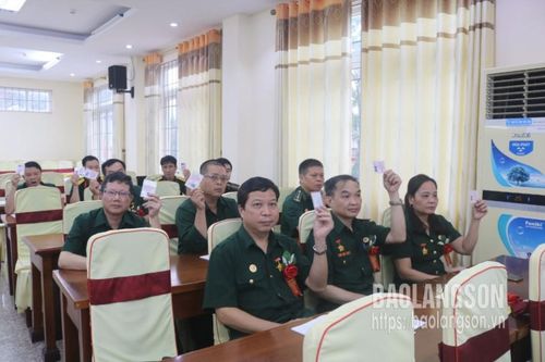 Hội Cựu chiến binh khối các cơ quan tỉnh: Đại hội thi đua yêu nước 'Cựu chiến binh gương mẫu' giai đoạn 2019-2024
