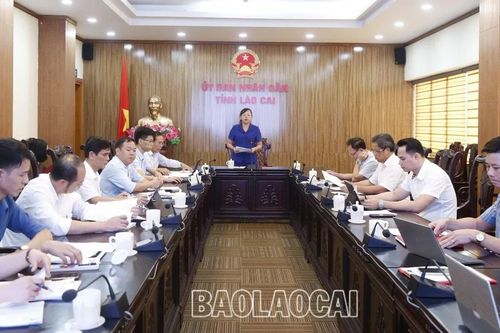 28 đề tài được xét trao giải Cuộc thi Sáng tạo thanh thiếu niên, nhi đồng tỉnh Lào Cai lần thứ 19