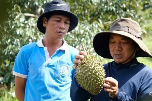 Trách nhiệm của mình là giúp đỡ bà con