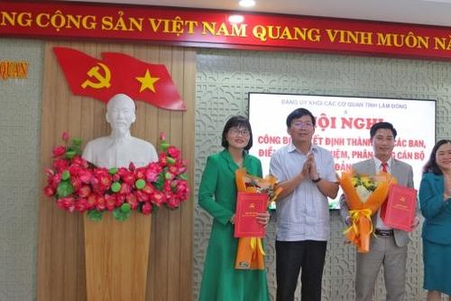 Đảng ủy Khối các cơ quan tỉnh thành lập các ban tham mưu giúp việc