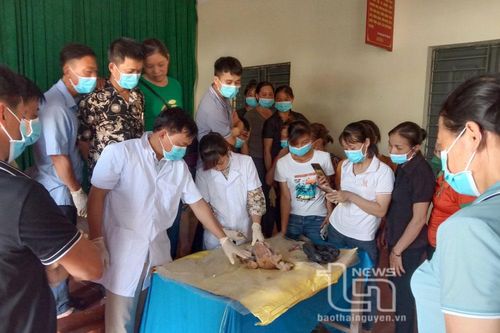 Chú trọng đào tạo nghề cho đồng bào dân tộc thiểu số, người nghèo
