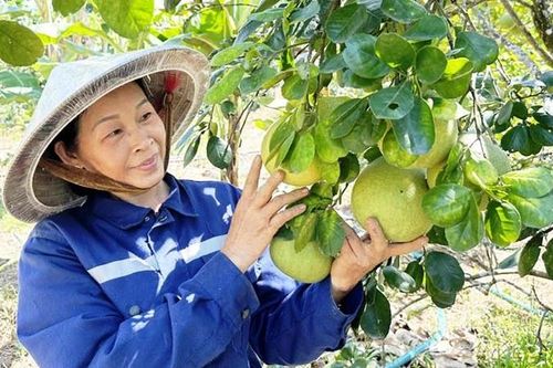 Chinh phục vùng gò đồi