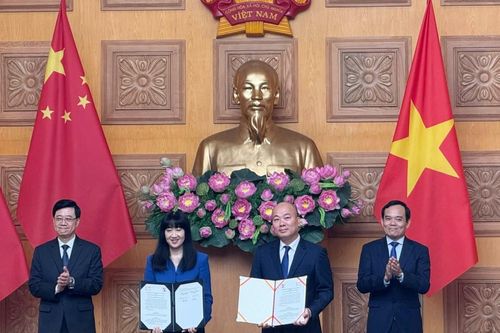 Tối ưu hóa tiềm năng hợp tác trong xúc tiến thương mại giữa Việt Nam - Hồng Kông (Trung Quốc)